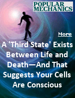 A growing number of new studies have found that, at least for some cells, death isnt the end, but the beginning of something wholly unexpected.